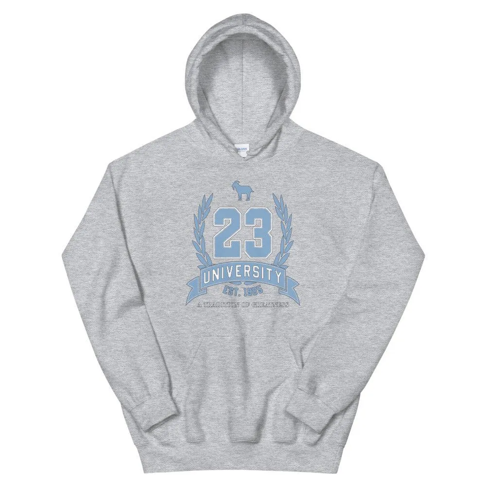 23 University Hoodie To Match Cool Grey Retro 11