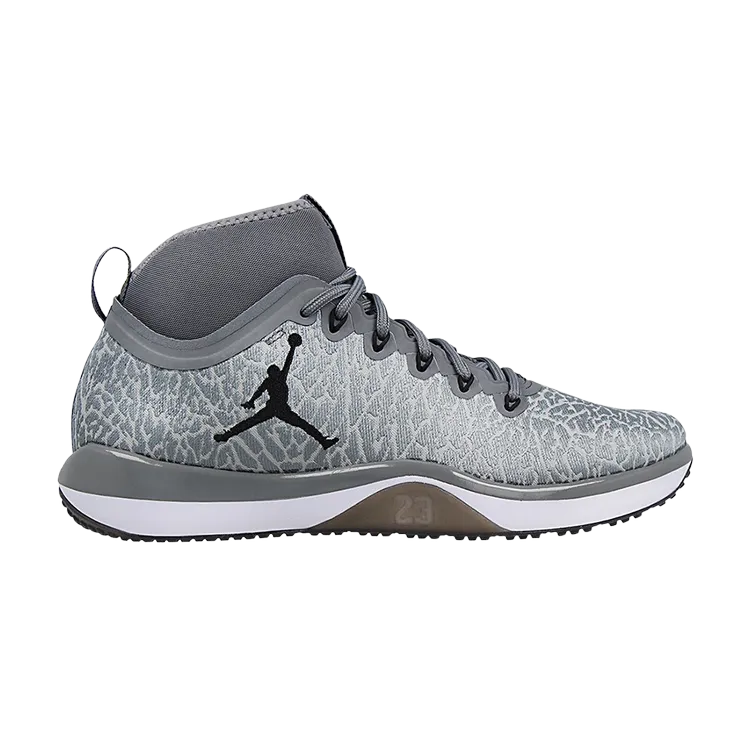 Air Jordan Jordan Trainer 1 sneakers, gray