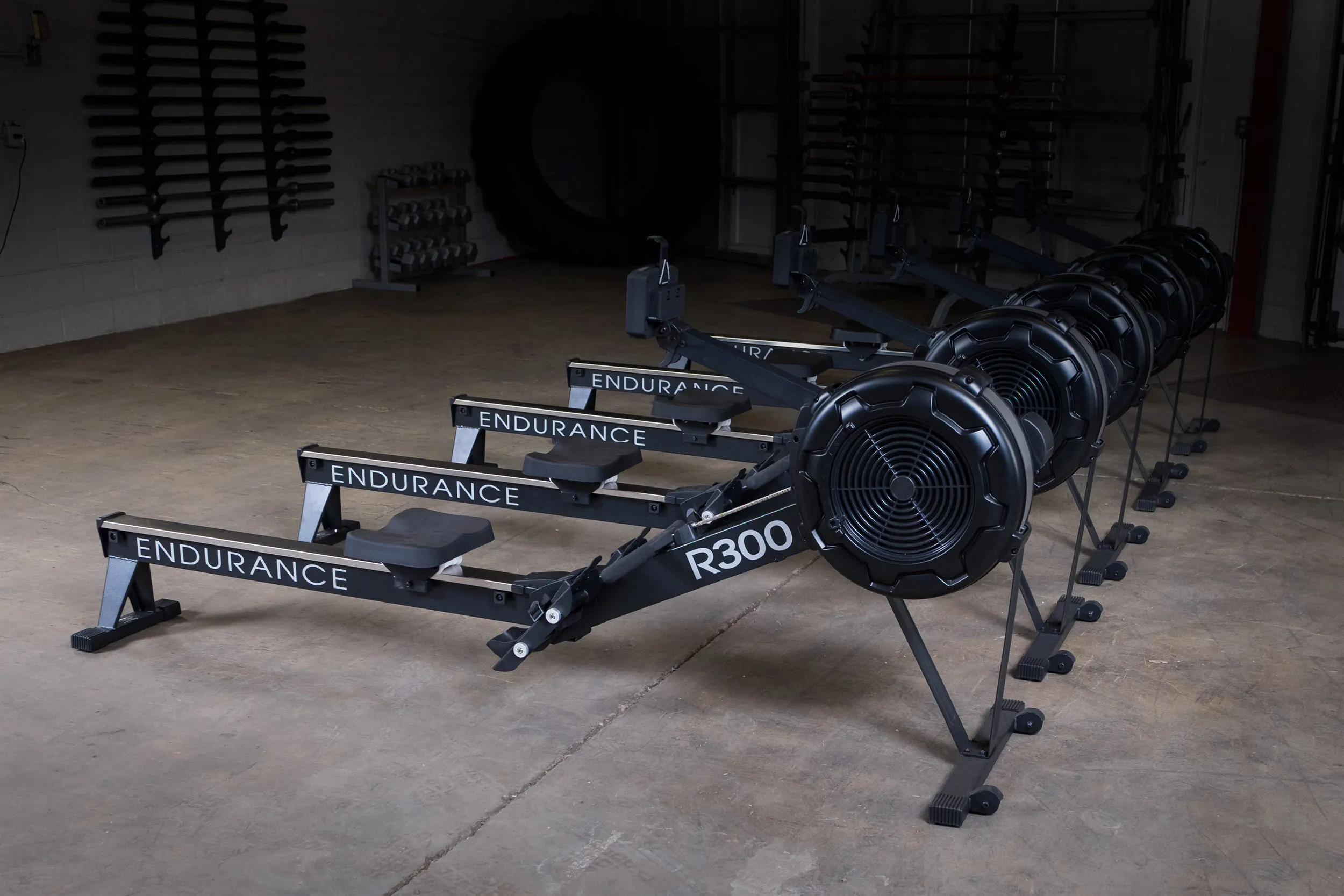 Endurance by Body-Solid Air Rower