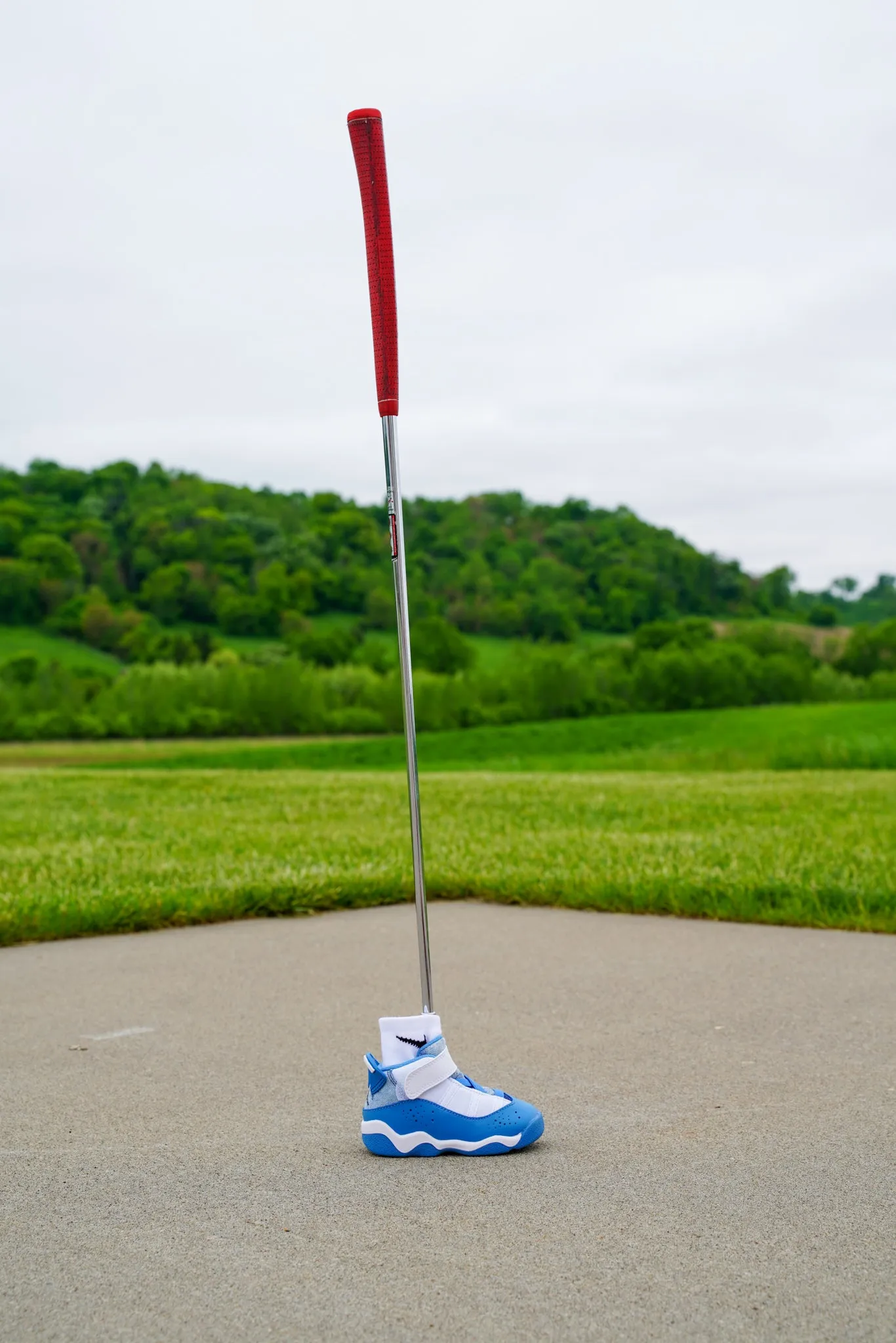 Jordan 6 Rings [DUTCH BLUE] Standing Sneaker Putter Cover