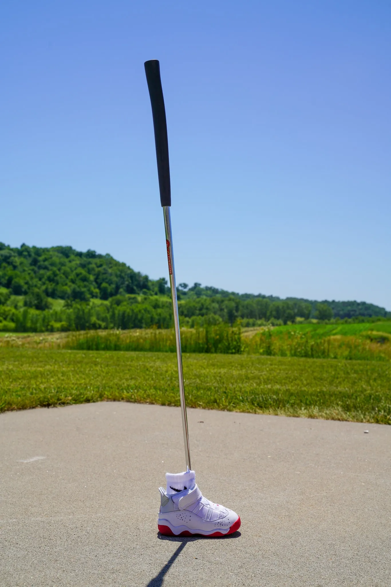 Jordan 6 Rings [MYSTIC HIBISCUS] Standing Sneaker Putter Cover