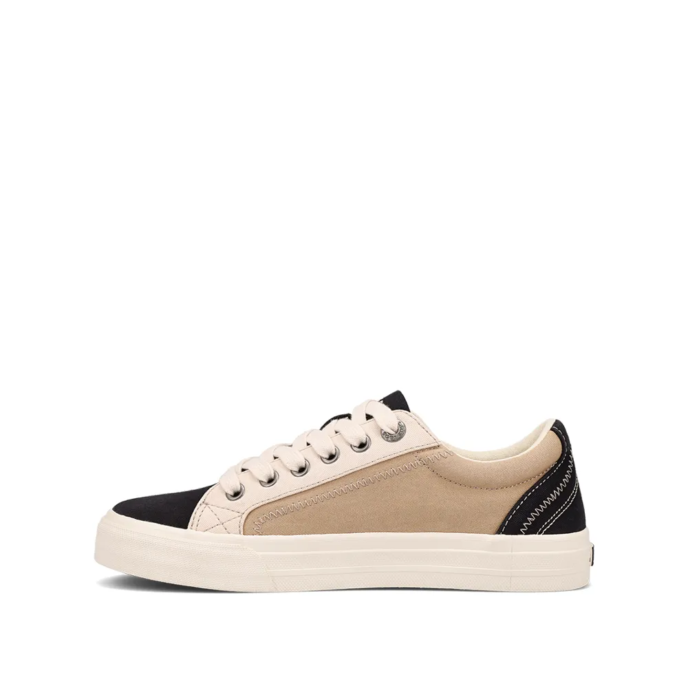 Plim Soul Canvas Sneaker