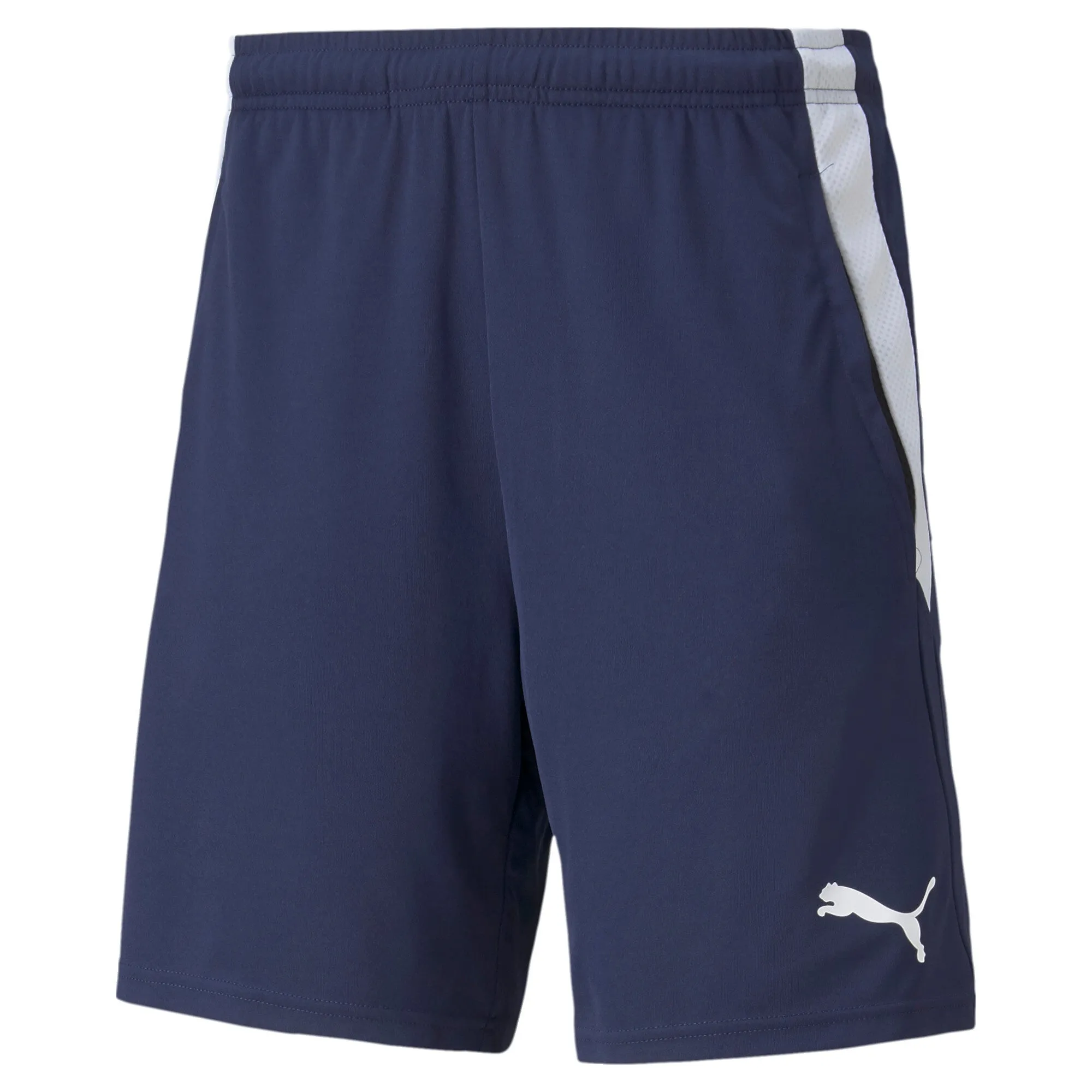 teamLIGA Training Shorts 2 (open pockets)